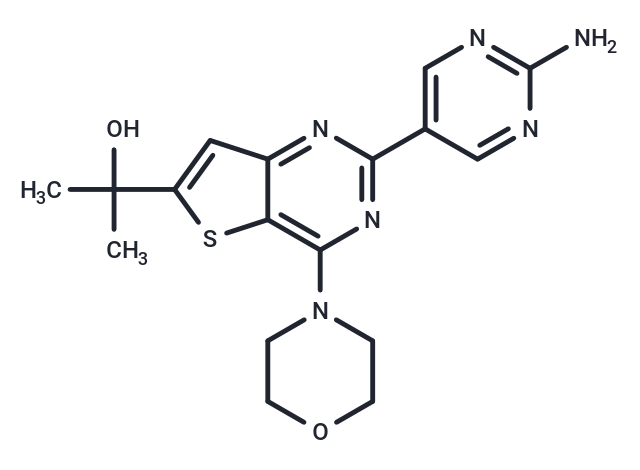 GNE-493