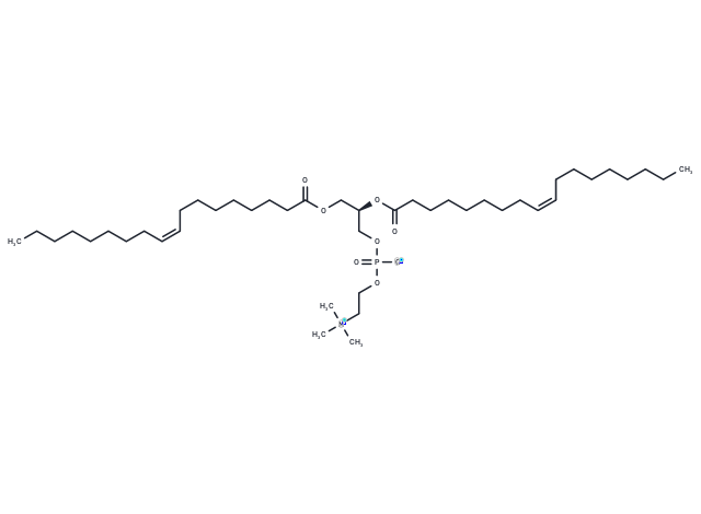 1,2-dioleoyl-sn-glycero-3-phosphocholine