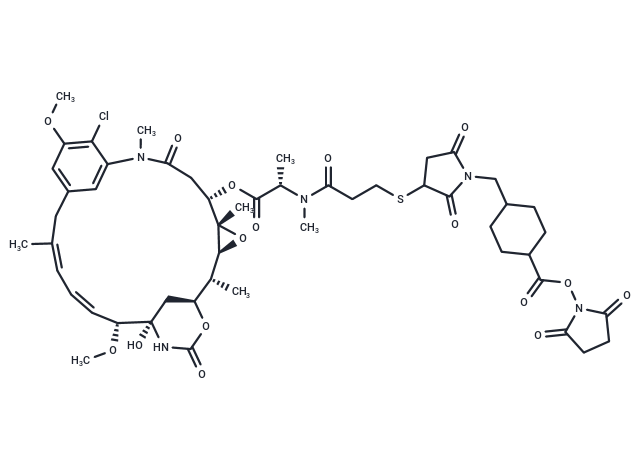 SMCC-DM1