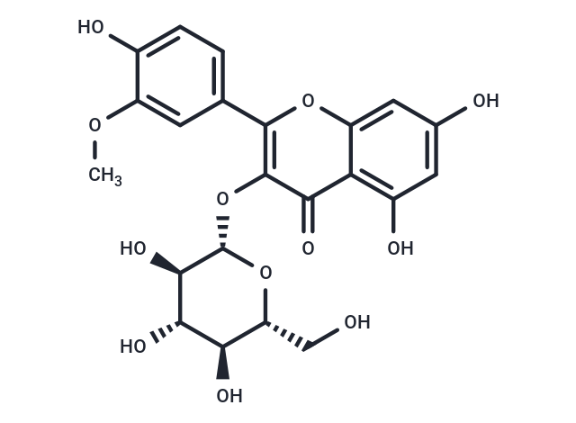 Isorhamnetin-3-O-glucoside