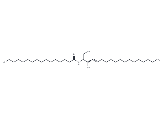 C16 Ceramide