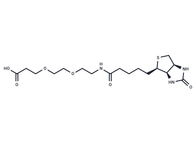 Biotin-PEG2-acid