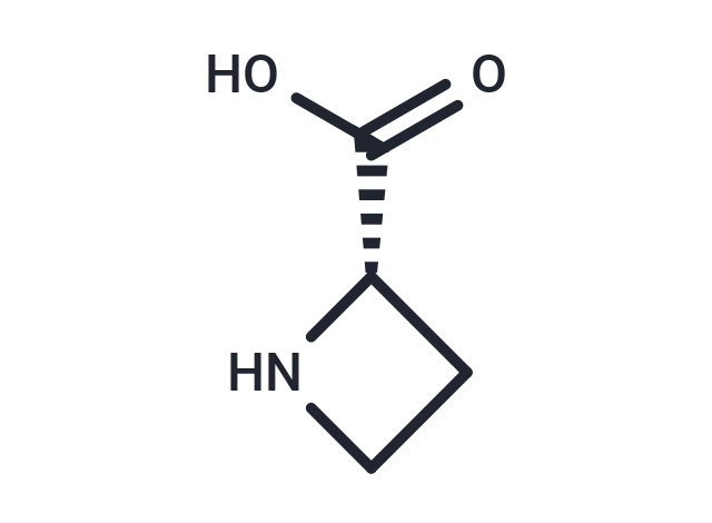 L-Azetidine-2-carboxylic acid