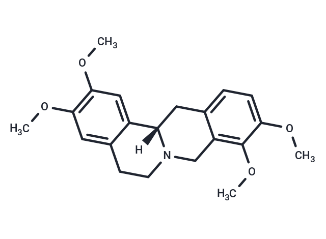 D-tetrahydropalmatine