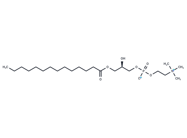 LysoPC(14:0/0:0)