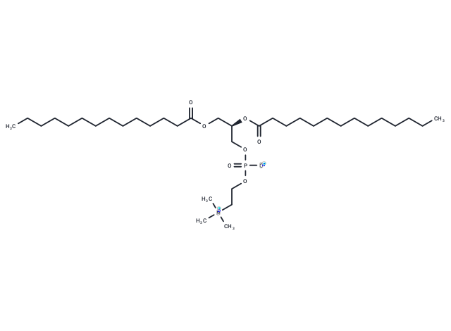 1,2-Dimyristoyl-sn-glycero-3-phosphocholine