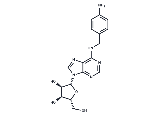 N-[(4-Aminophenyl)methyl]adenosine