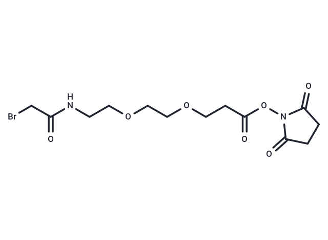 Bromoacetamido-PEG2-C2-NHS ester