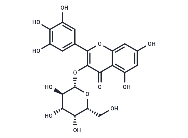 Myricetin 3-O-galactoside