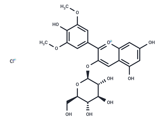 Malvidin-3-glucoside chloride