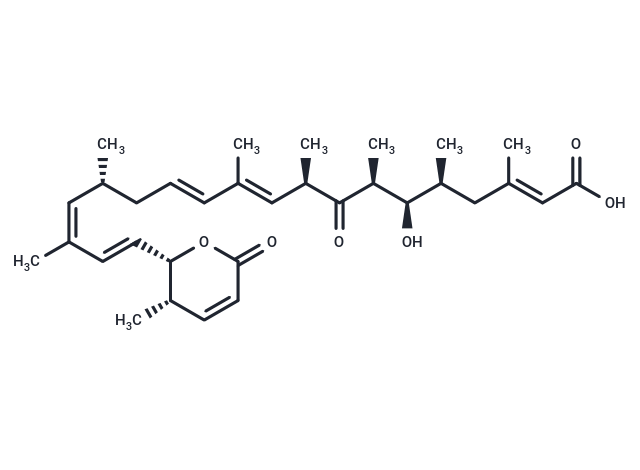 Leptomycin A