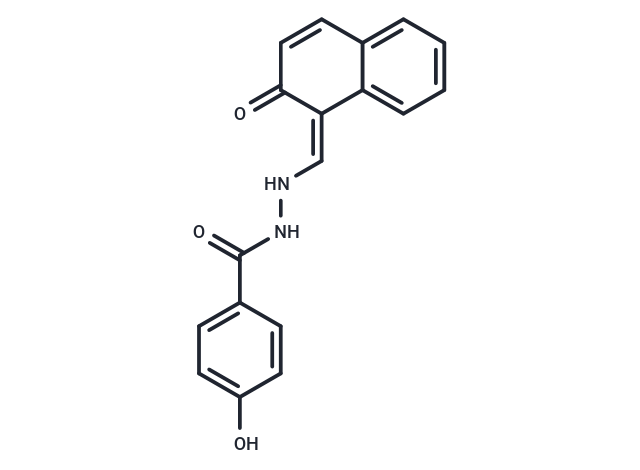 MEISi-2