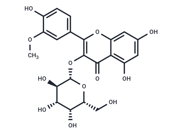 Isorhamnetin 3-O-galactoside