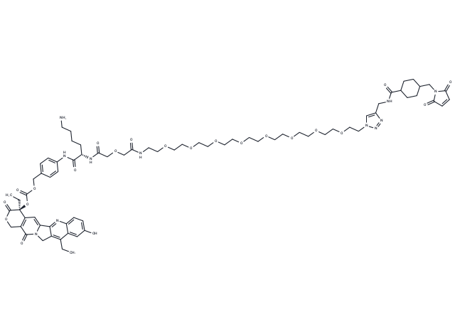 CL2A-SN-38