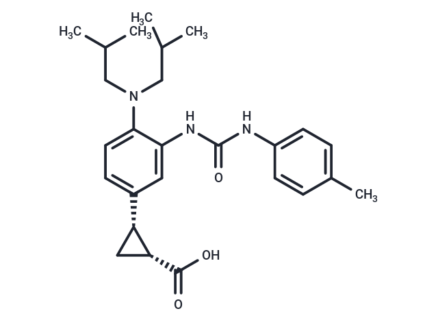 IDO-IN-4