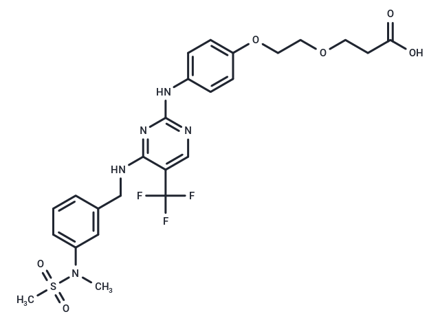 FAK ligand-Linker Conjugate 1