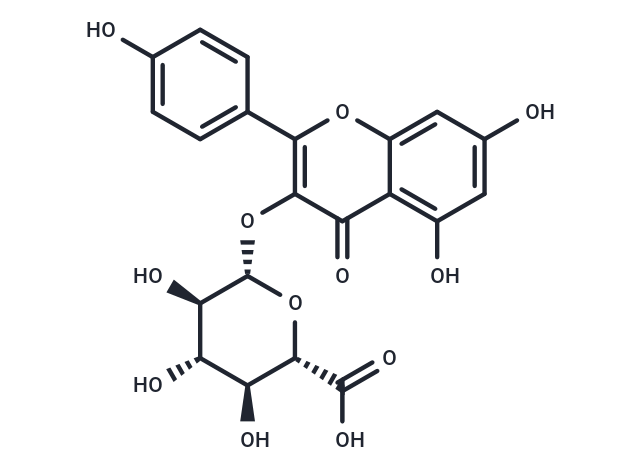 Kaempferol 3-O-β-D-glucuronide