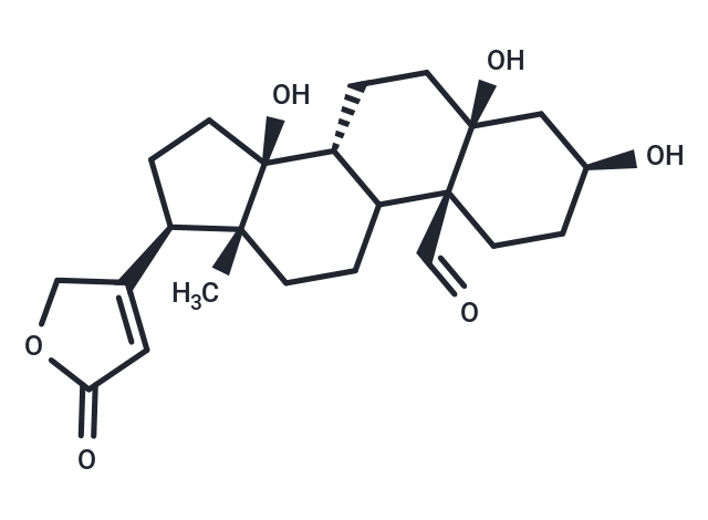 Strophanthidin