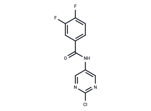 ICA-069673