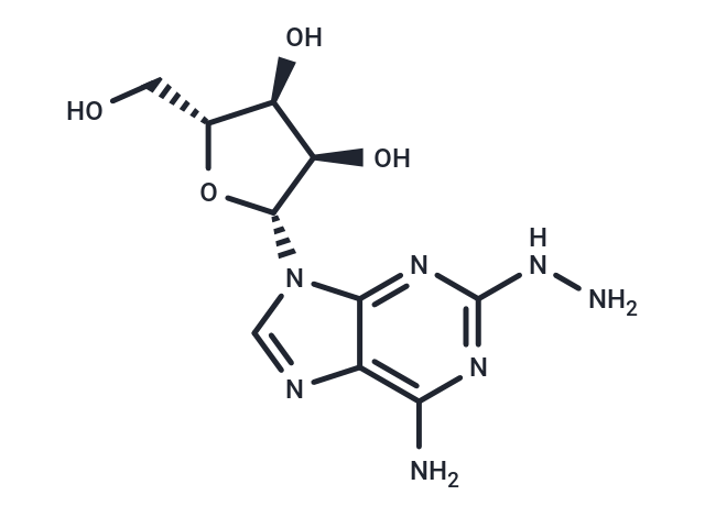 2-Hydrazinoadenosine