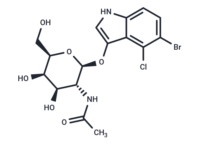 X-GalNAc