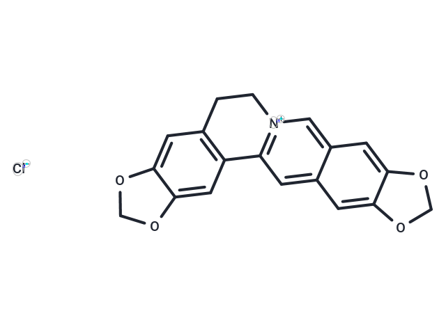 Pseudocoptisine chloride