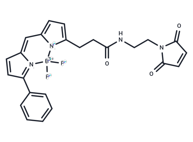 BDP R6G maleimide