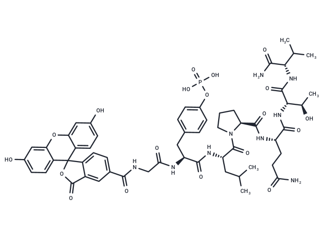 5-FAM-GpYLPQTV-NH2