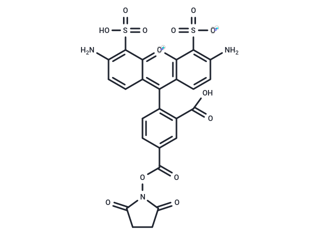 AF488 NHS ester