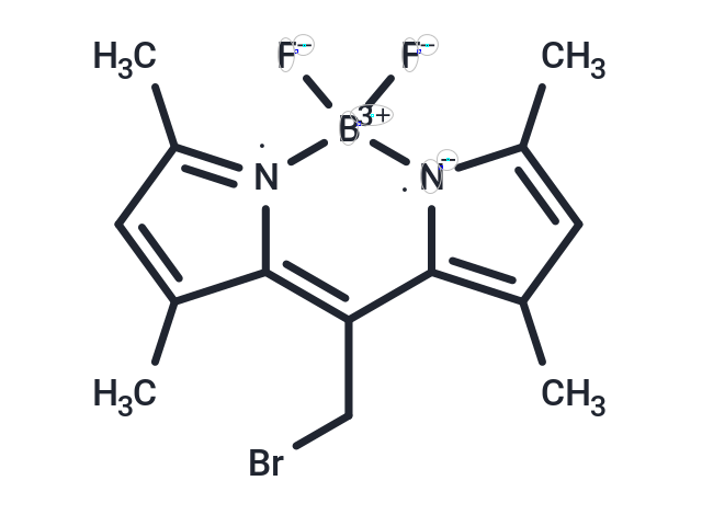 BODIPY 493/503 methyl bromide