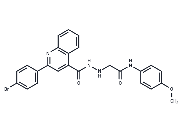 DNA Gyrase-IN-7