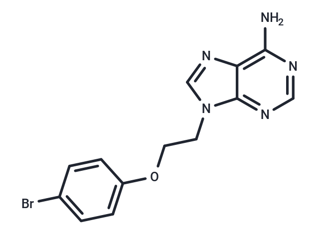 NSD-IN-3