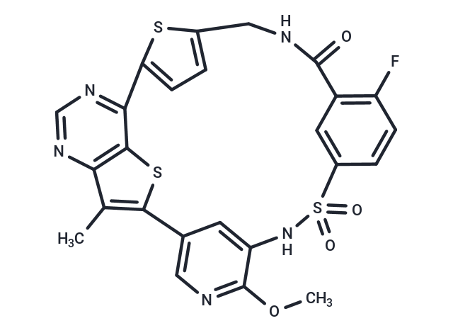 IBL-302