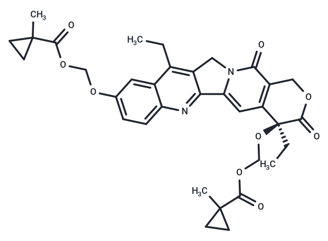 SN-38-CM2