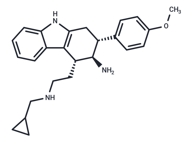 UCM-13369