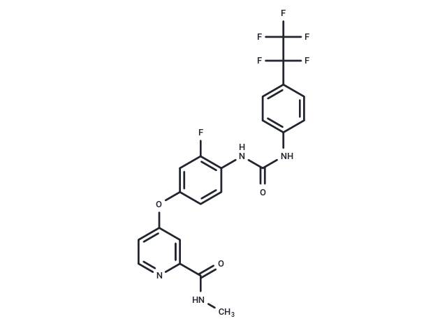 WNTinib