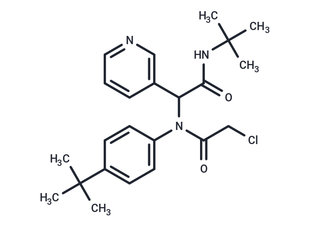 SARS-CoV-2-IN-75