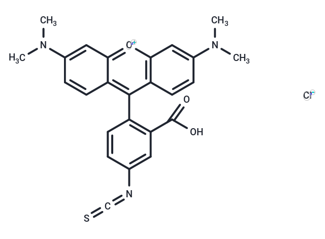 Rhodamine B, tetramethyl-, isothiocyanate