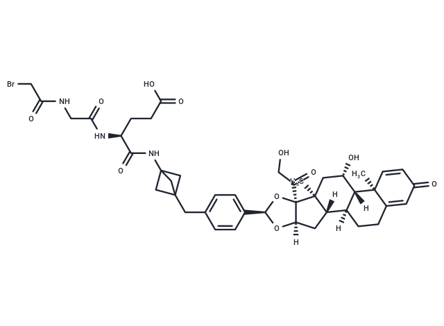 INX-P