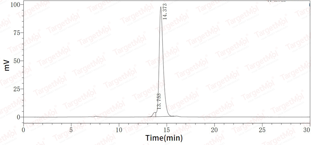 Leptin Protein, Mouse, Recombinant