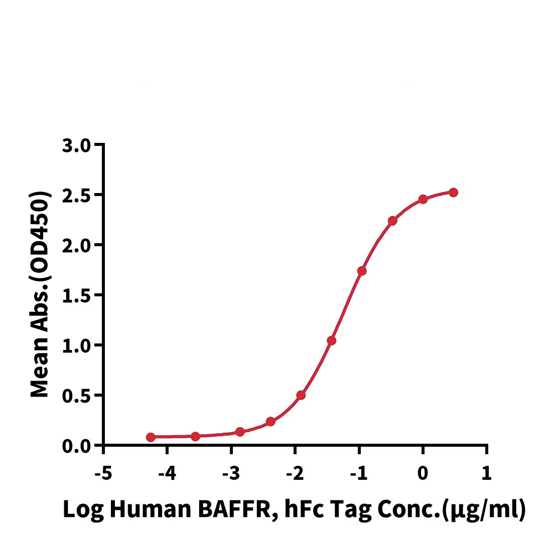 BAFF/TNFSF13B Trimer Protein, Human, Recombinant (His & Flag)