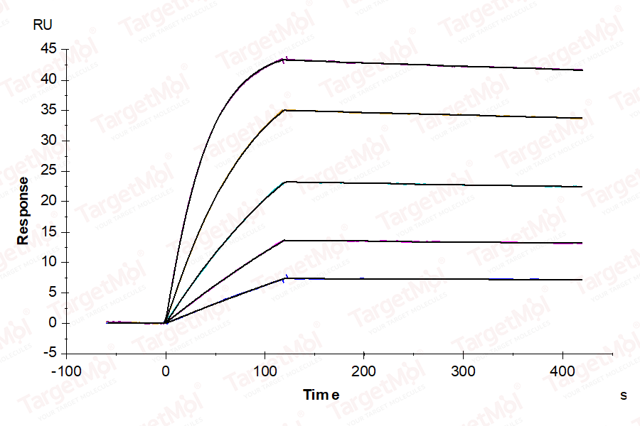 IL-1 beta/IL-1F2 Protein, Human, Recombinant (His & Avi)