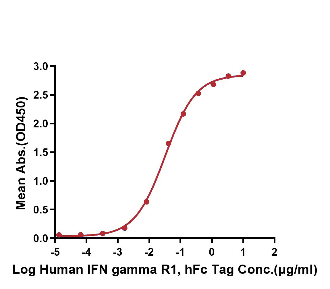 IFN gamma Protein, Human, Recombinant (His & Avi)