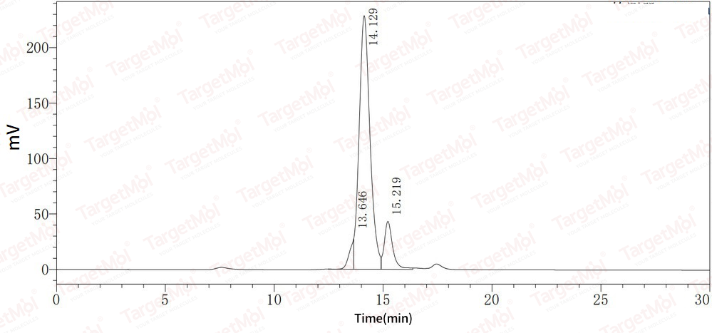 IL-16 Protein, Human, Recombinant