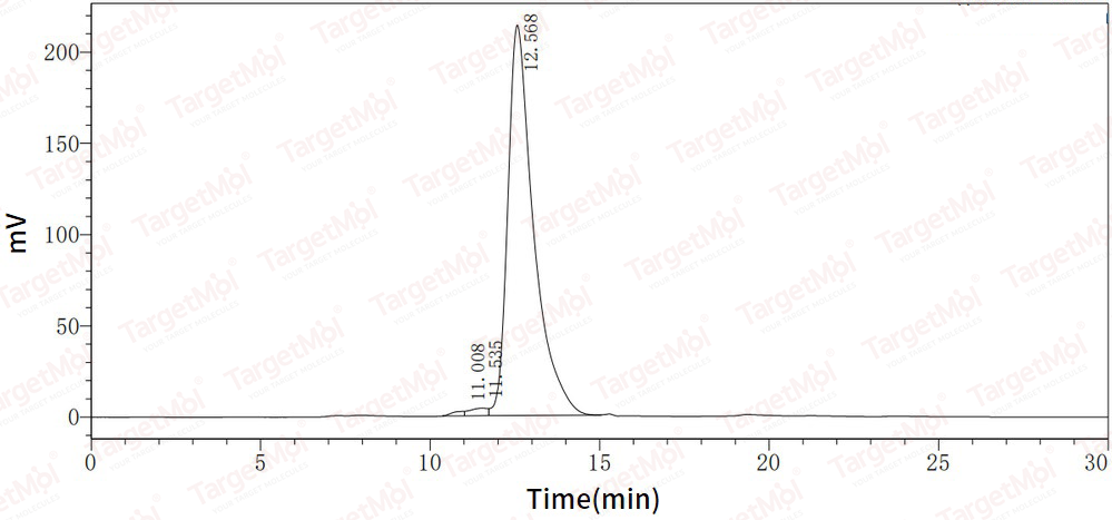 MMP-3 Protein, Human, Recombinant (His)