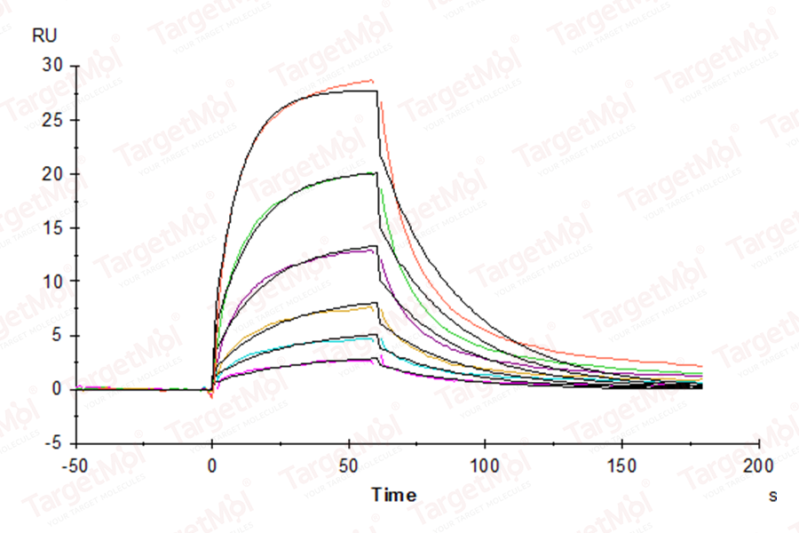 Serum Albumin Protein, Human, Recombinant (His & Avi)