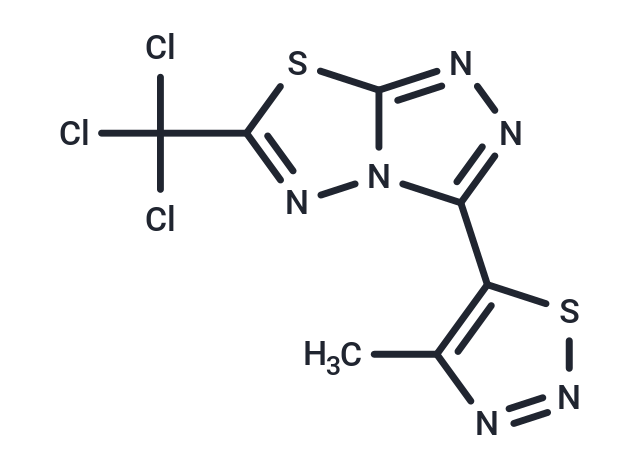 YZK-C22