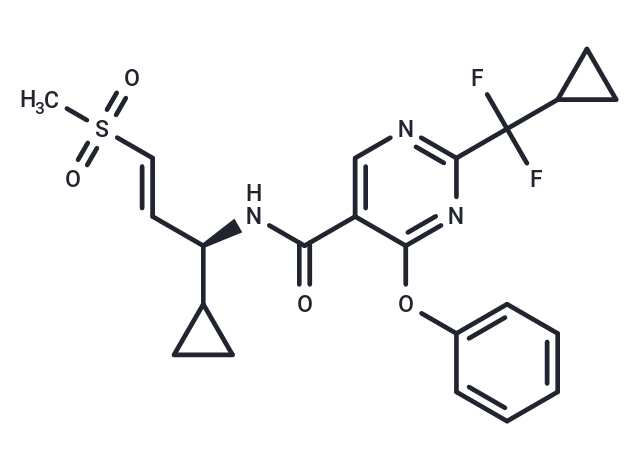 WRN inhibitor 8