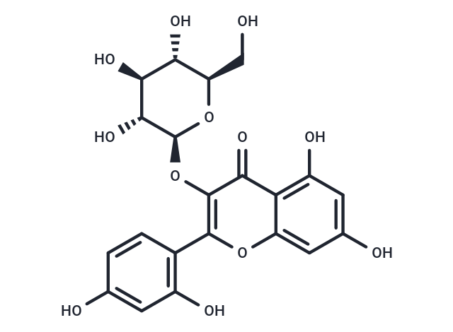 Morin 3-O-β-D-glucopyranoside