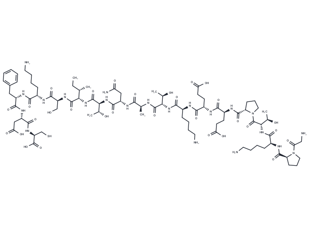 Protein Kinase C β Peptide